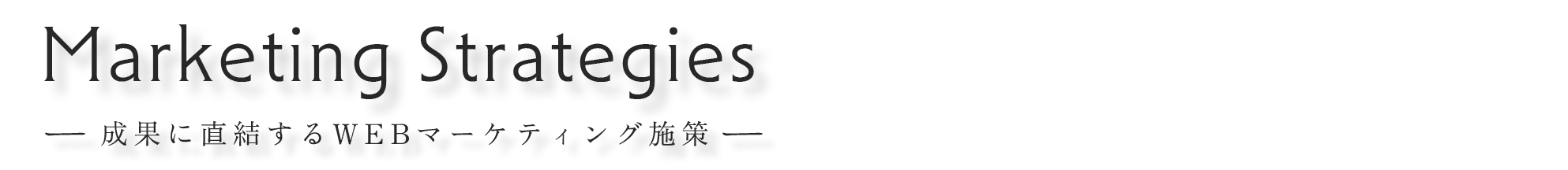 Marketing Strategies、成果に直結するWEBマーケティング施策